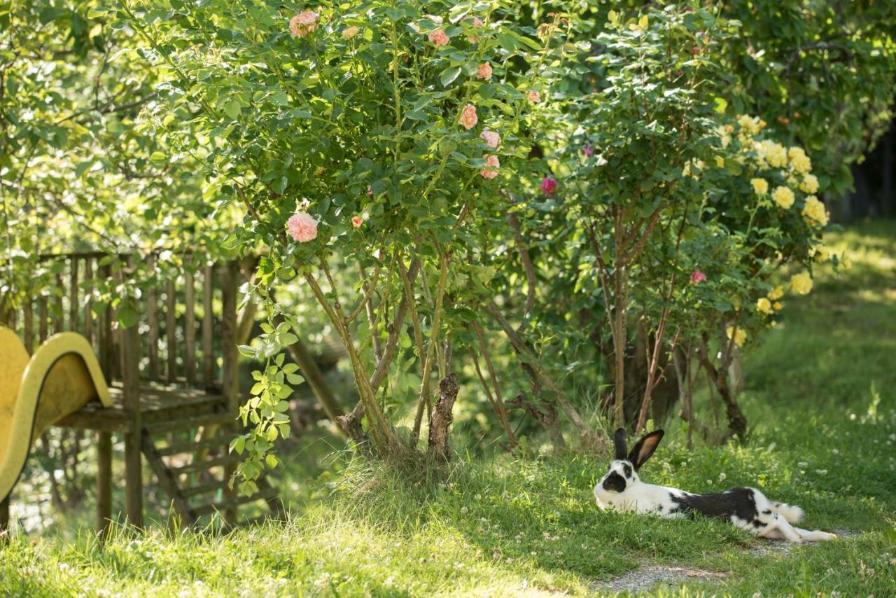 Farm stay Bio-hof Windhaber *