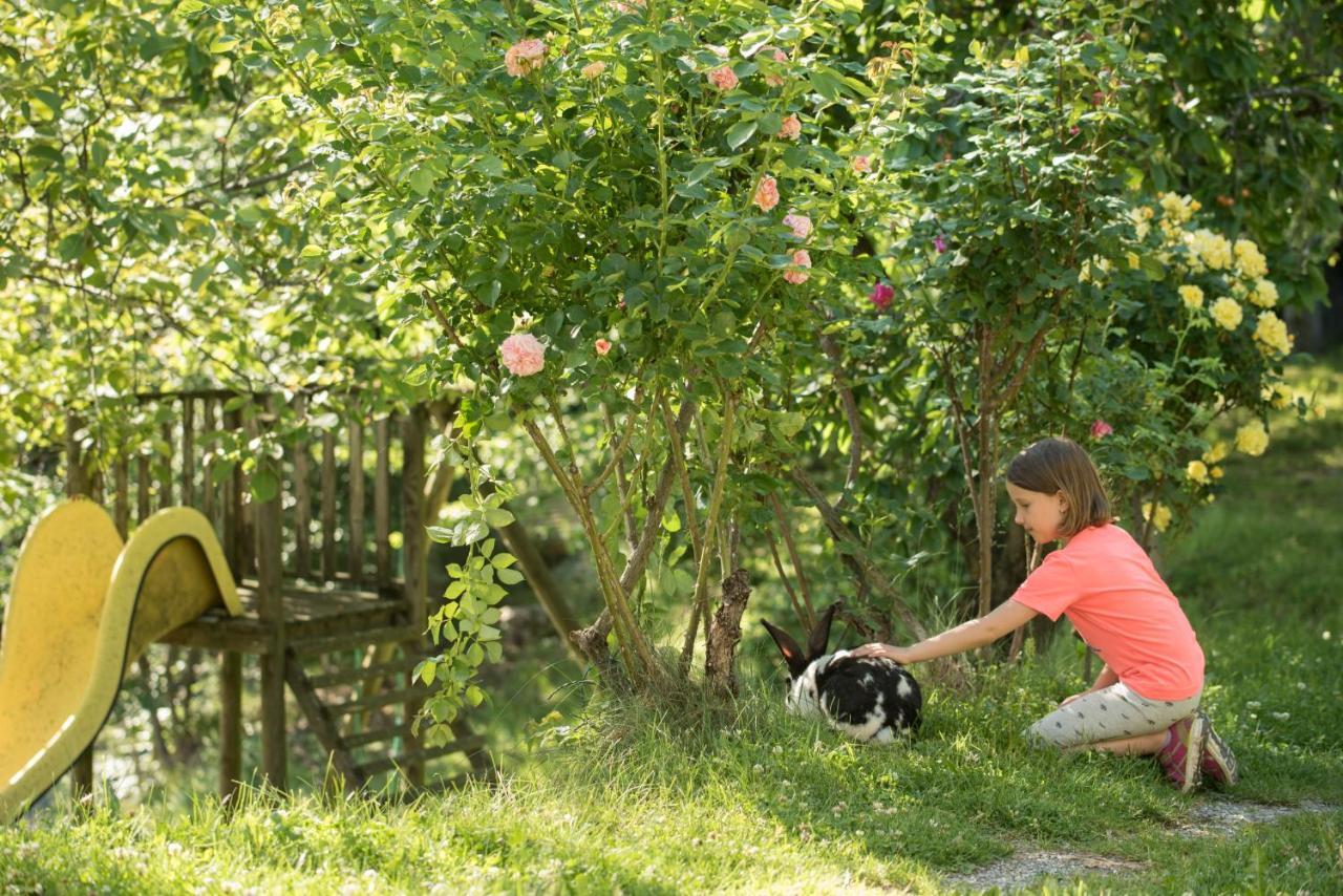 Bio-hof Windhaber Farm stay Stubenberg